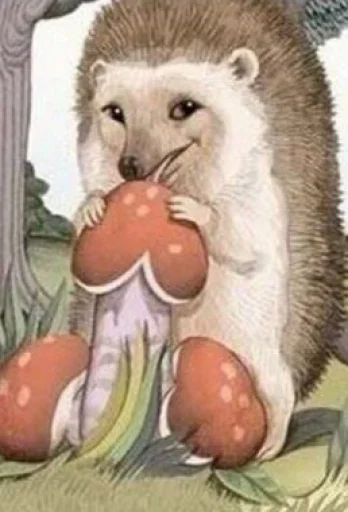 млекопитающее животное медведь