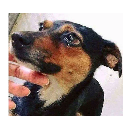 Sticker ненавижу эти следы - 6