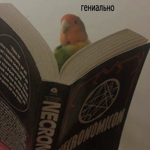 Sticker ненавижу эти следы - 5