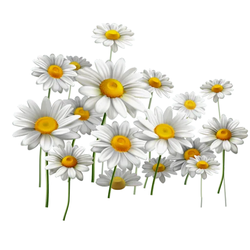 Sticker ненавижу эти следы - 0