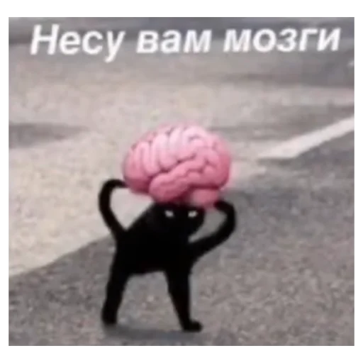 СМС земля на открытом воздухе