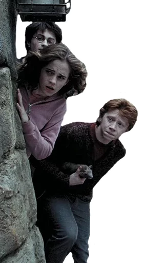 одежда человеческое лицо Человек