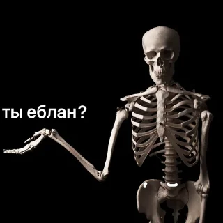 Sticker любимые мемы агатк - 6