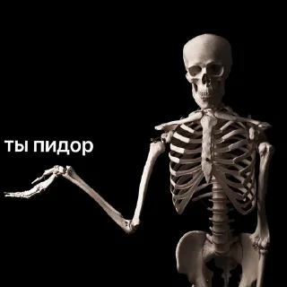 Sticker любимые мемы агатк - 10