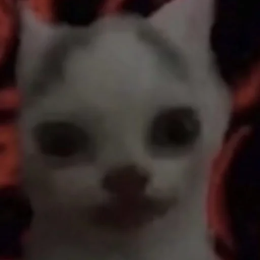 Sticker ملصغات علس😍😍 - 11