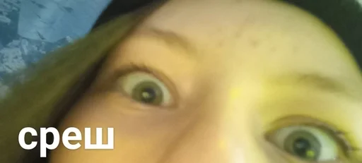 eyes eyebrow eyelash