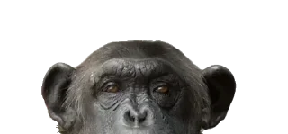 Sticker @stickery - 10