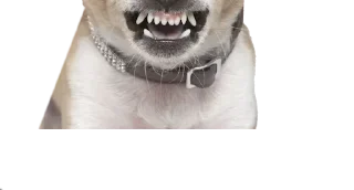 Sticker @stickery - 1