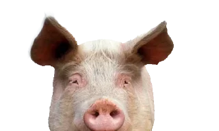 Sticker @stickery - 0