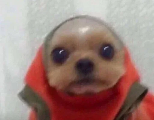 Sticker hfhfghfggggg - 1