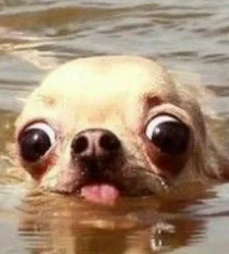 Стикер hfhfghfggggg - 1