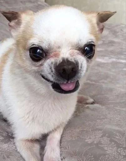 Sticker hfhfghfggggg - 1