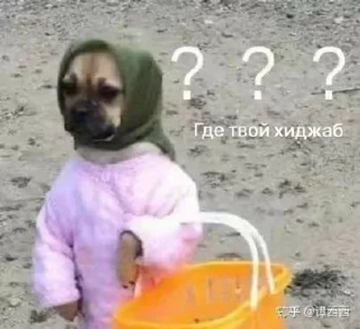 Sticker hfhfghfggggg - 1