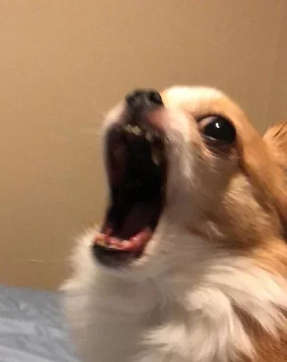 Sticker hfhfghfggggg - 1