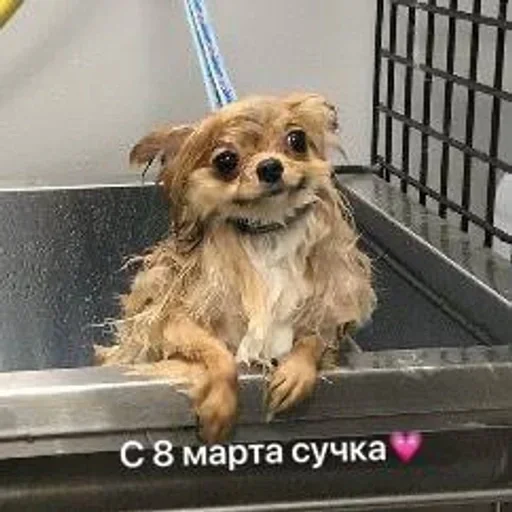 Стикер hfhfghfggggg - 1