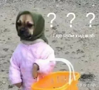 Sticker Собачки @stickerytg - 8