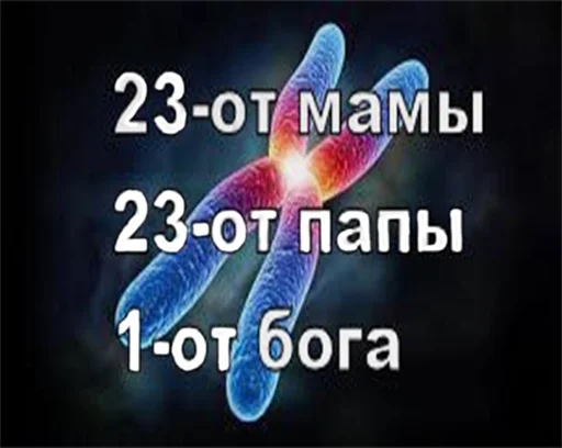 Sticker Художественный фильм "Спиздили" - 9