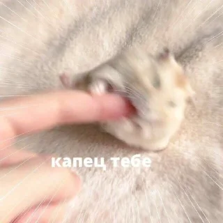 Sticker stickers by izyalxst - 6