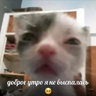 Sticker stickers by izyalxst - 1