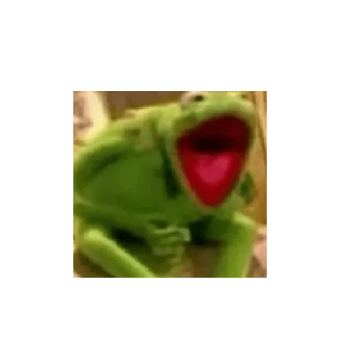 frog amphibian true frog