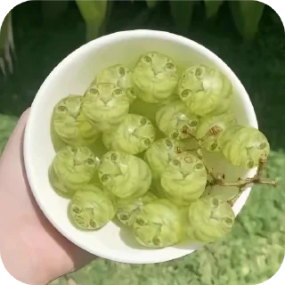 Sticker Почему @salty_X - 8