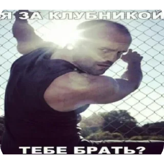 Sticker Почему @salty_X - 6