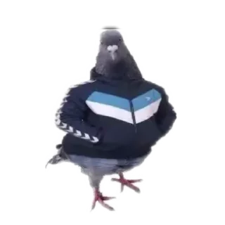 Sticker Почему @salty_X - 7