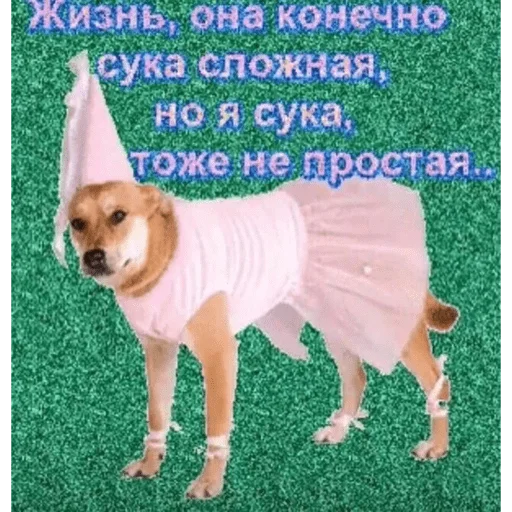 Стикер hhilariouss - 1