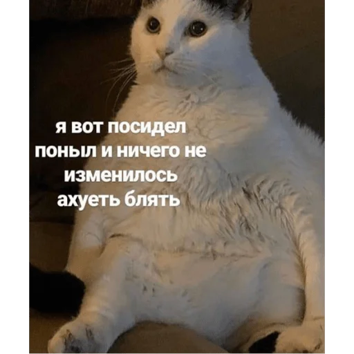 Sticker hhilariouss - 1