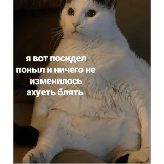 Стикер на случай влажных переговоров - 2