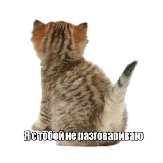 Sticker стикиры от крул @hhmewq - 4