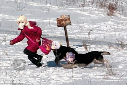 на открытом воздухе снег зима