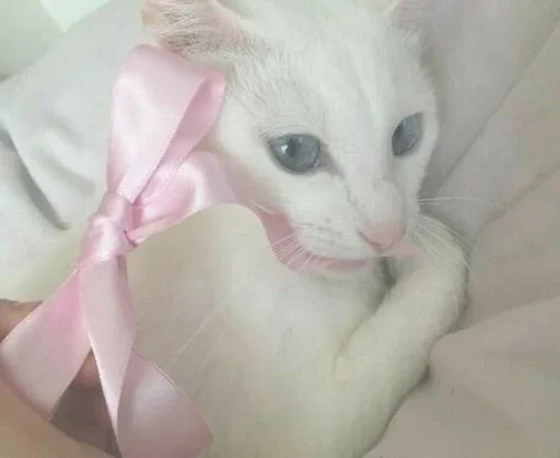 Sticker hibykitt - 1