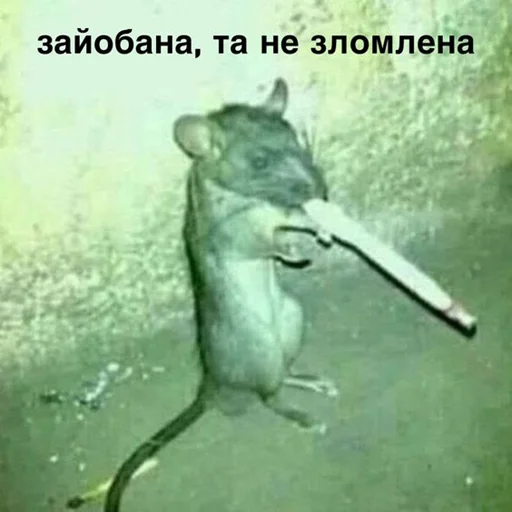 Стикер чому не державною? - 7