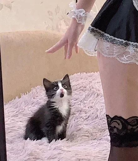 Sticker hikkipara pack @muzclubmiku - 10