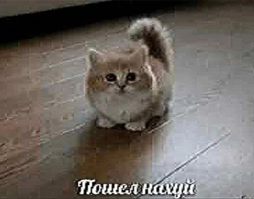 Sticker hikkipara pack @muzclubmiku - 9