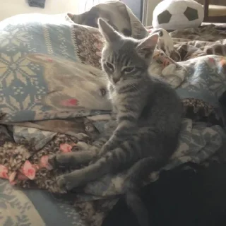 Sticker химляндия - 6