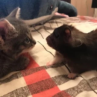 Sticker химляндия - 1