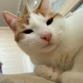 Sticker химляндия - 5