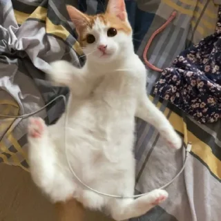 Sticker химляндия - 10