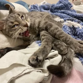 Sticker химляндия - 9