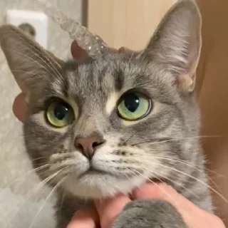 Sticker химляндия - 11