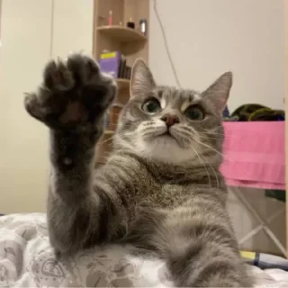 Sticker химляндия - 3