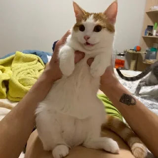 Sticker химляндия - 8