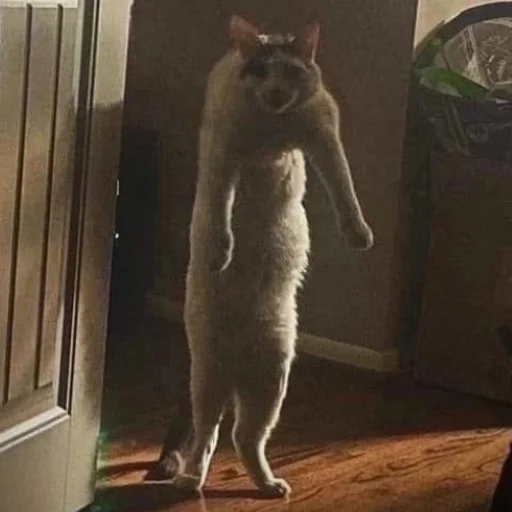 Sticker hirumo_mem - 1