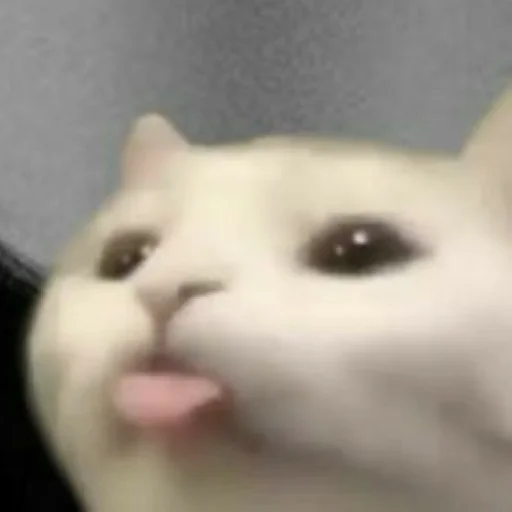 Стикер hirumo_mem - 1