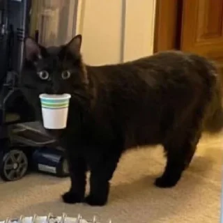 Sticker HIRUMO_memes - 11