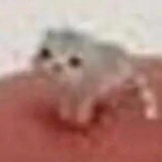 Sticker HIRUMO_memes - 5