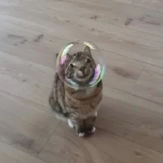 Sticker HIRUMO_memes - 4