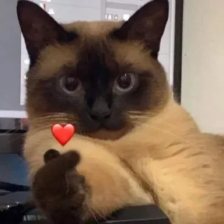 Sticker HIRUMO_memes - 8